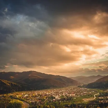 Complex Vivcharyk סקולה